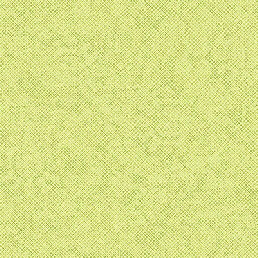 Whisper Weave Too Pistachio by Nancy Halvorsen for Benartex Designer Fabrics - 13610-39