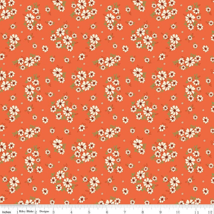 Autumn Afternoon Dasies Autumn by Heather Peterson for Riley Blake Designs - C14872-AUTUMN