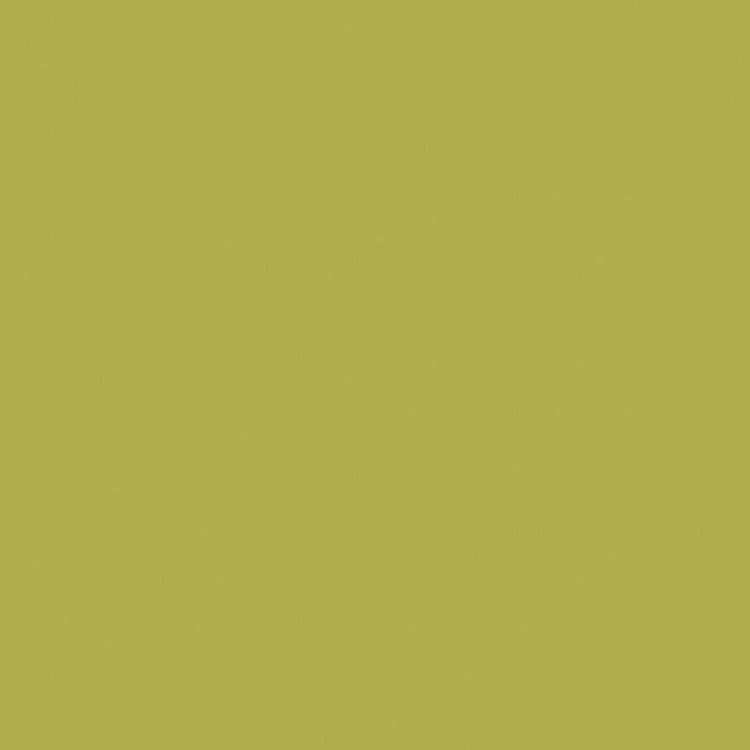 Confetti Cottons Asparagus by Riley Blake Designs - C120-ASPARAGUS
