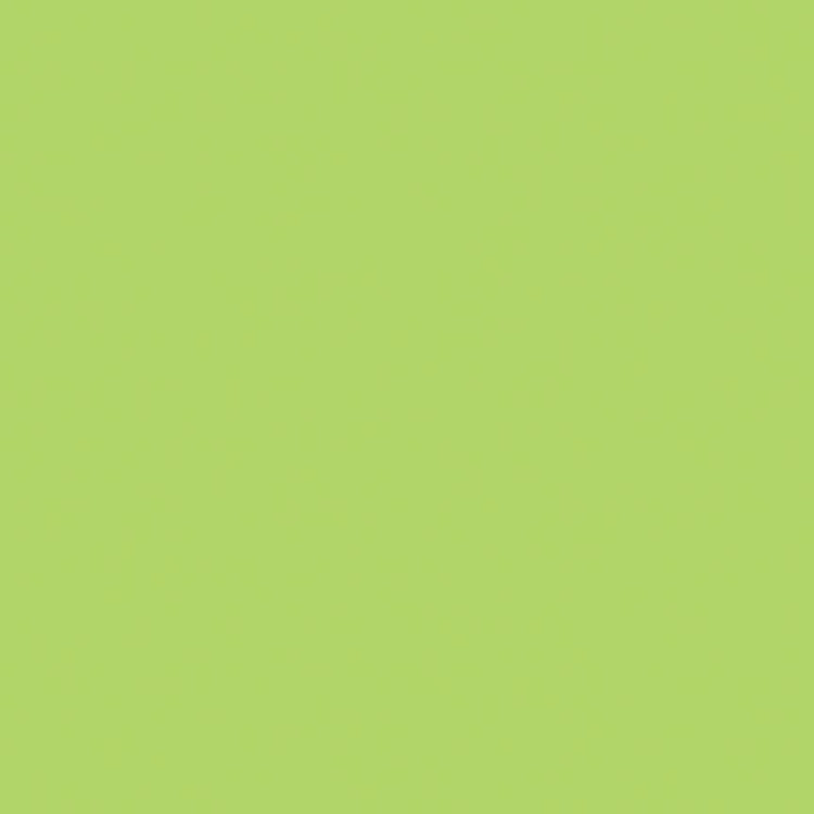 Confetti Cottons Wasabi by Riley Blake Designs - C120-WASABI