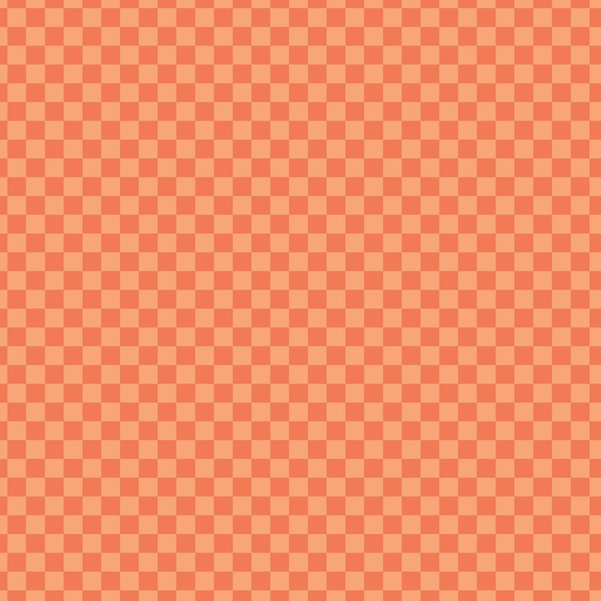 Hey Pumpkin Checks Orange by My Mind's Eye for Riley Blake Designs - C16036-ORANGE