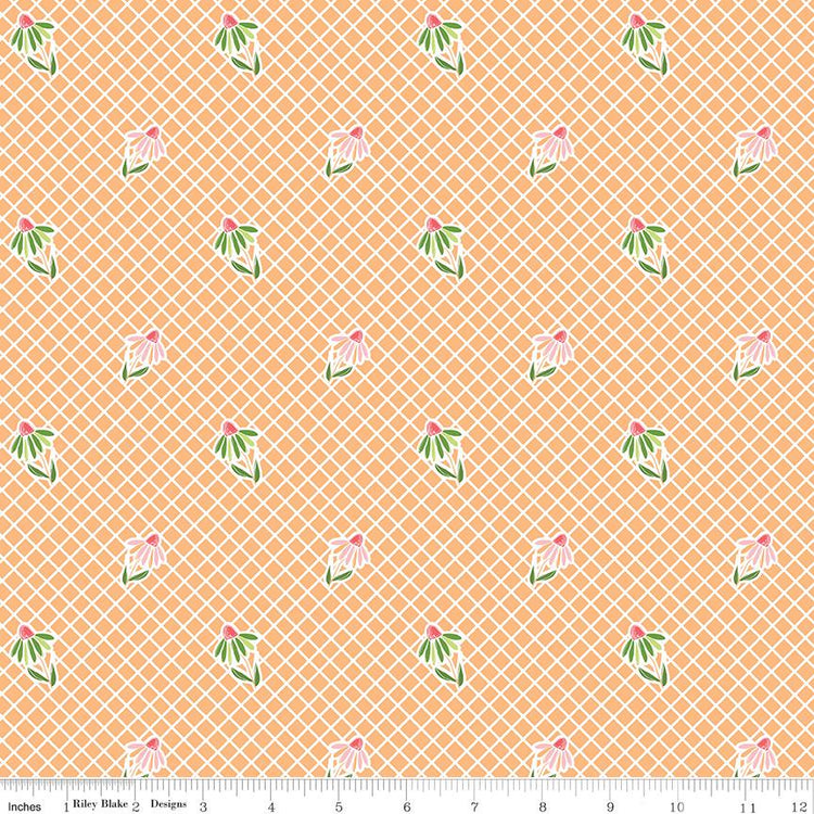 Summer Skies and Fireflies Cone Flowers Orange by Gracey Larson for Riley Blake Designs - C16372-ORANGE