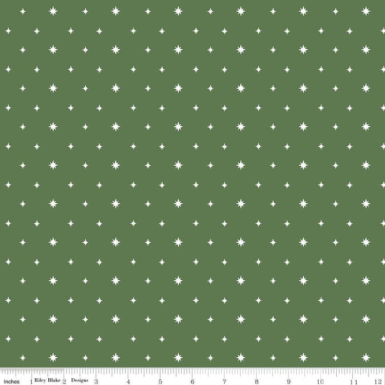 Charming Christmas Stars Green by Kelsey Carlson for Riley Blake Designs - C16355-GREEN