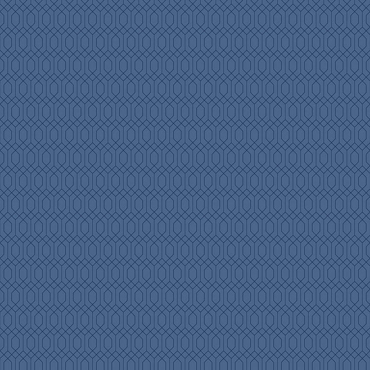 Essence Lattice Denim by Fran Gulick for Riley Blake Designs - C16462-DENIM