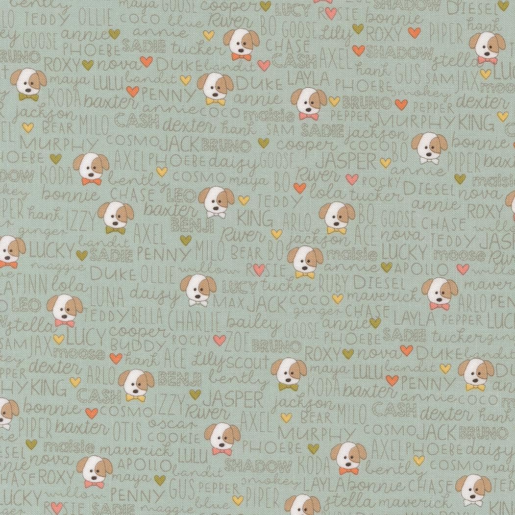 Lucky Buddies Text and Words Dogs Sky by Sweetwater for Moda Fabrics - 55702 12