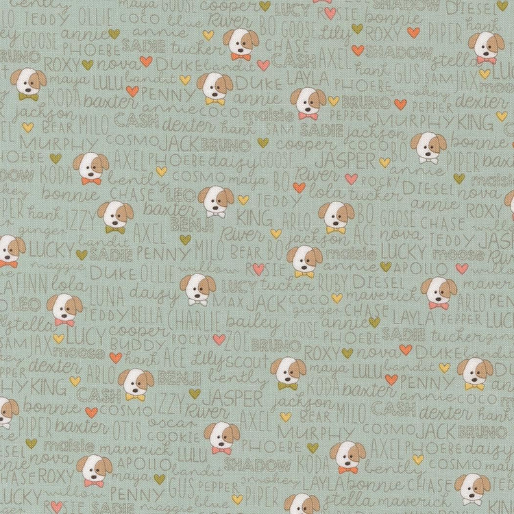 Lucky Buddies Text and Words Dogs Sky by Sweetwater for Moda Fabrics - 55702 12