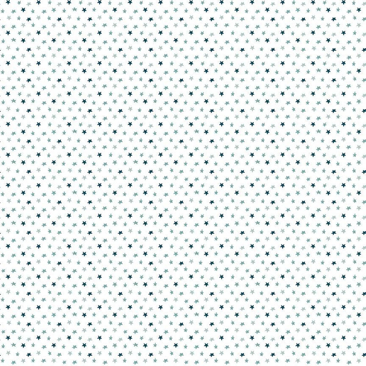 Baby Boy Stars White by Lori Whitlock for Riley Blake Designs - C16766-WHITE