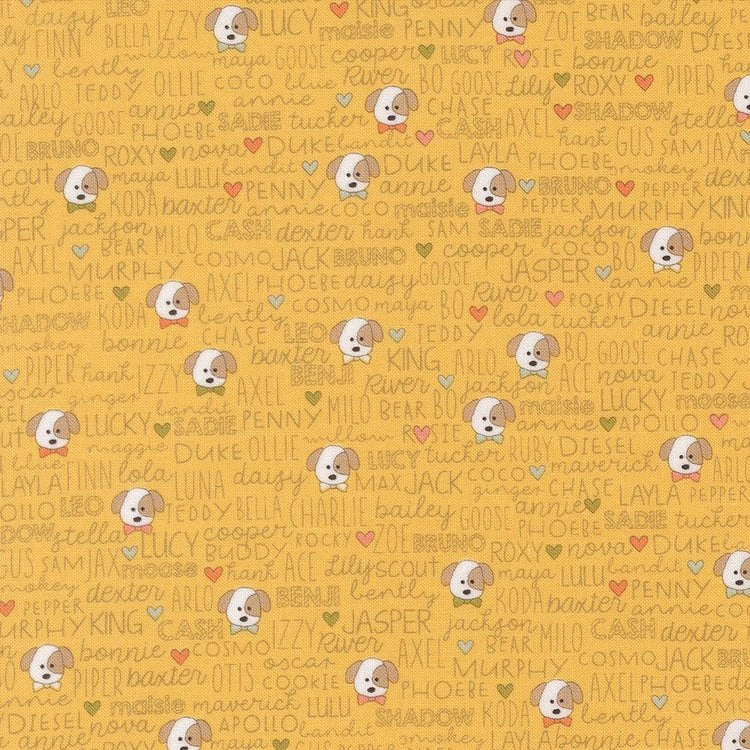Lucky Buddies Text and Words Dogs Sun by Sweetwater for Moda Fabrics - 55702 14