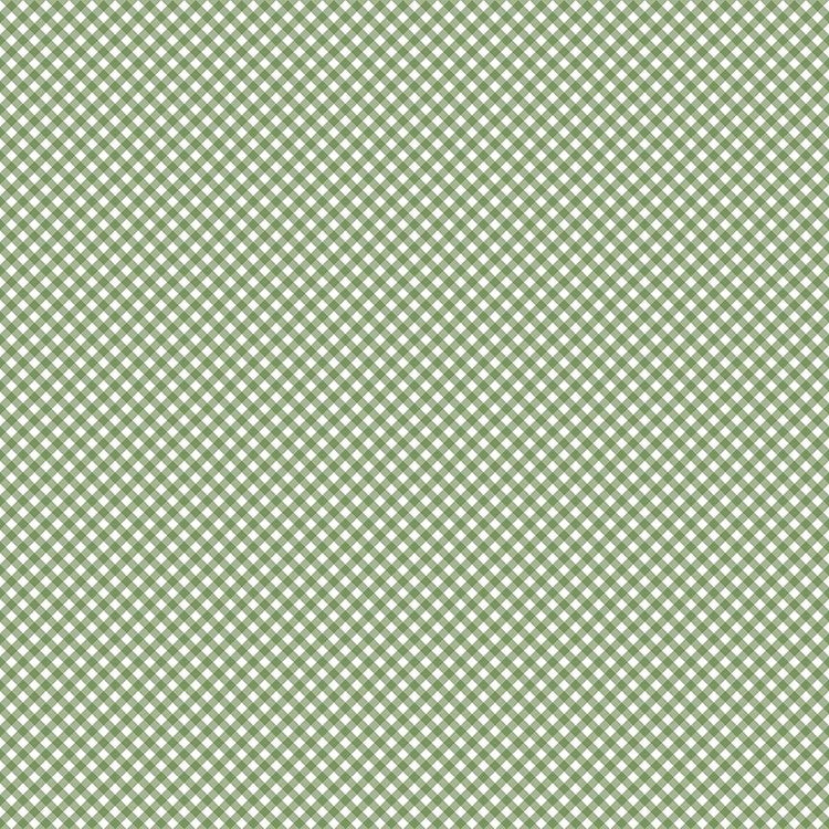 Baby Boy Gingham Basil by Lori Whitlock for Riley Blake Designs - C16765-BASIL