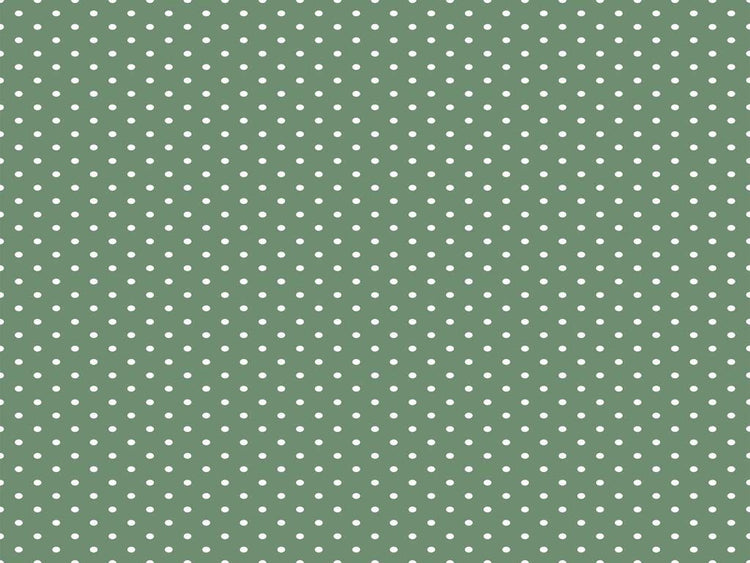 Quilting Cuddle Cottage Rose Lane Bitty Dot Meadow by Shannon Fabrics