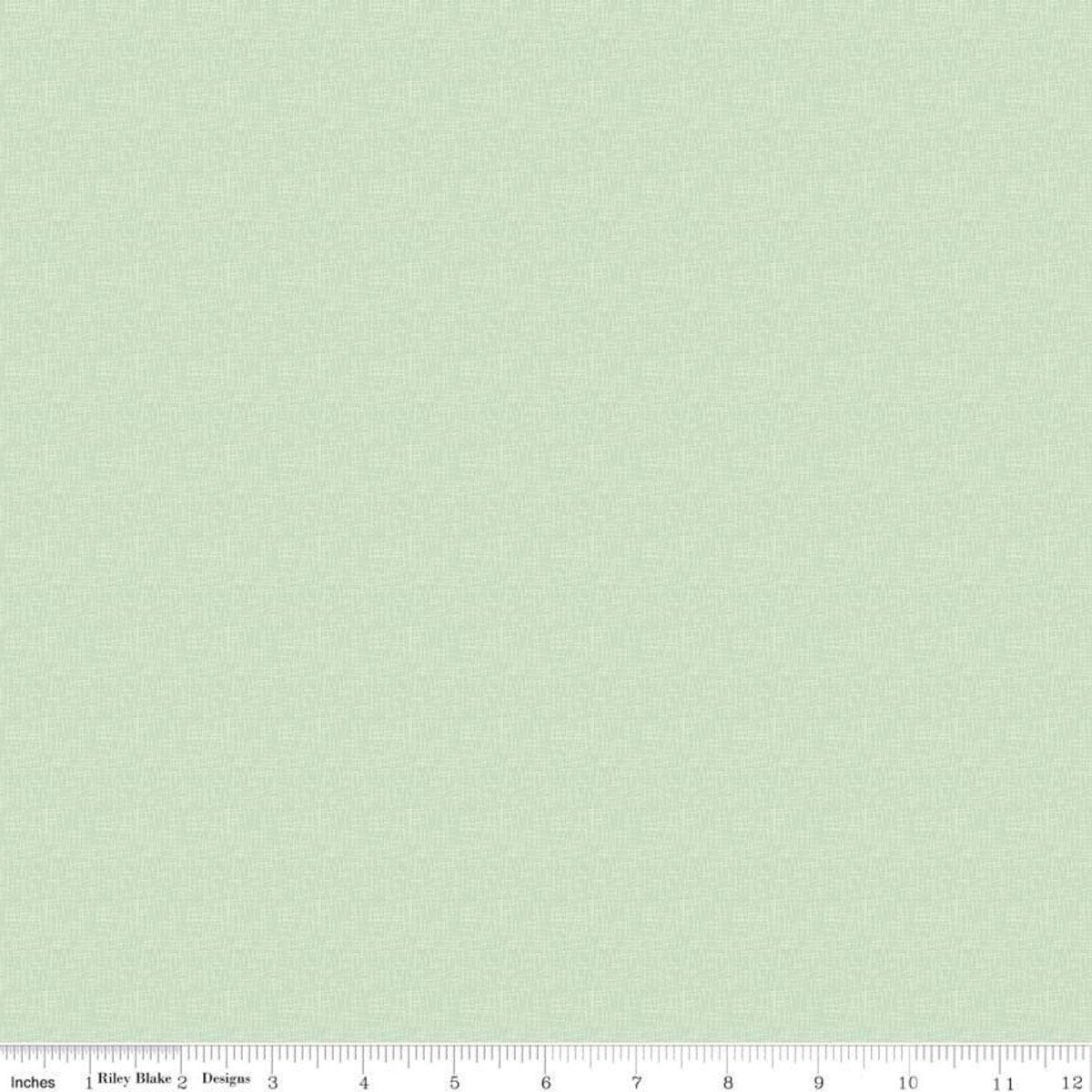 Mini Hashtag Mint by Riley Blake Designs