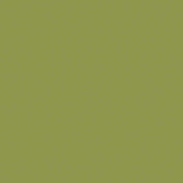 Confetti Cottons Olive Solid by Riley Blake Designs
