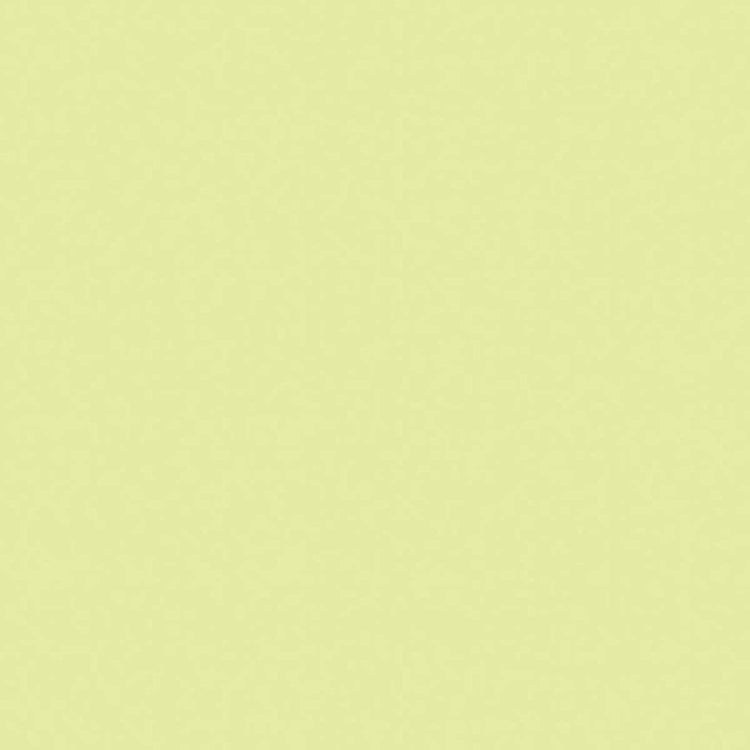 Confetti Cottons Celery Solid by Riley Blake Designs