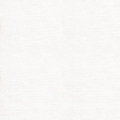 Dimples Snow by Gail Kessler for Andover Fabrics