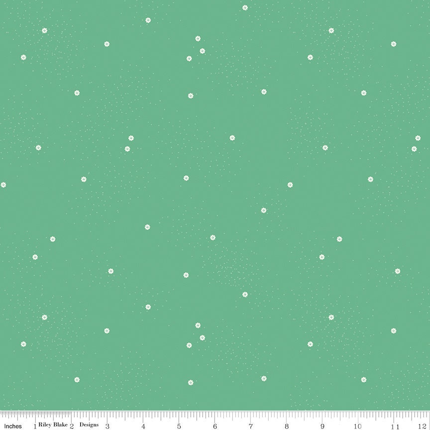 Dainty Daisy Alpine
