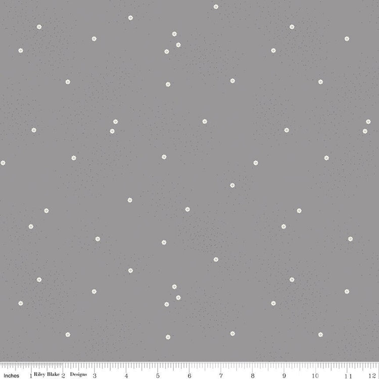 Dainty Daisy Gray