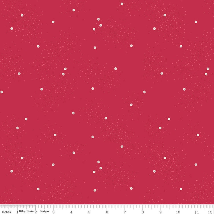 Dainty Daisy Jazzberry
