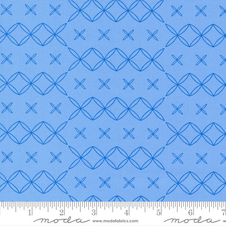 Rainbow Sherbet Blooming Arc Geometrics Blueberry by Sariditty for Moda Fabrics - 45025 20