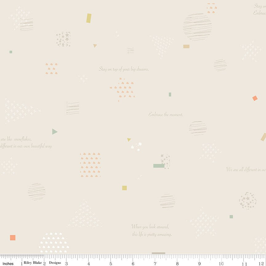 Hush Hush 3 Dream Big by Minki Kim for Riley Blake Designs - C14075-BIG