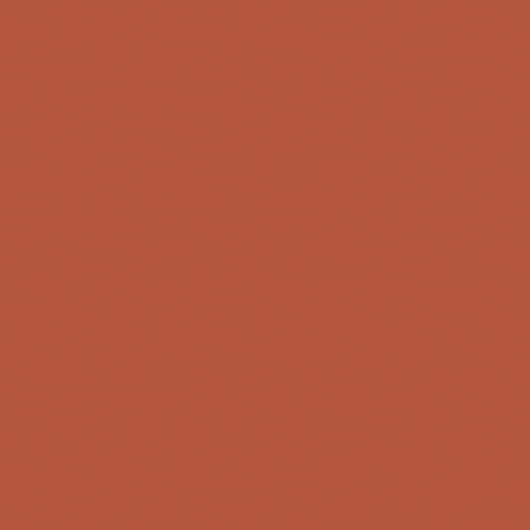 Confetti Cottons Burnt Orange by Riley Blake Designs - C120-BURNTORANGE