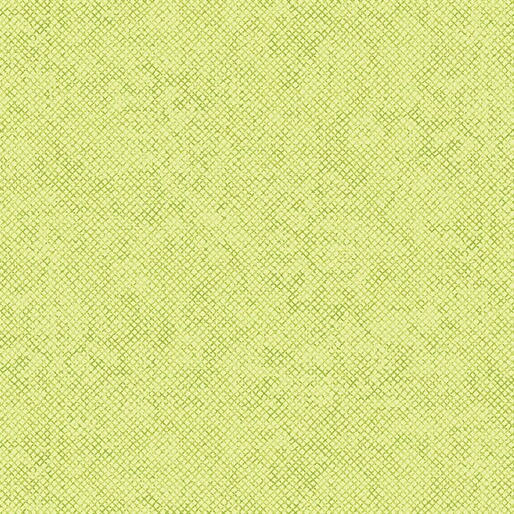 Whisper Weave Too Pistachio by Nancy Halvorsen for Benartex Designer Fabrics - 13610-39