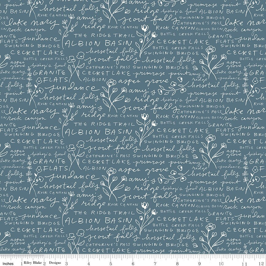 Albion Text Blue by Amy Smart for Riley Blake Designs - C14595-BLUE