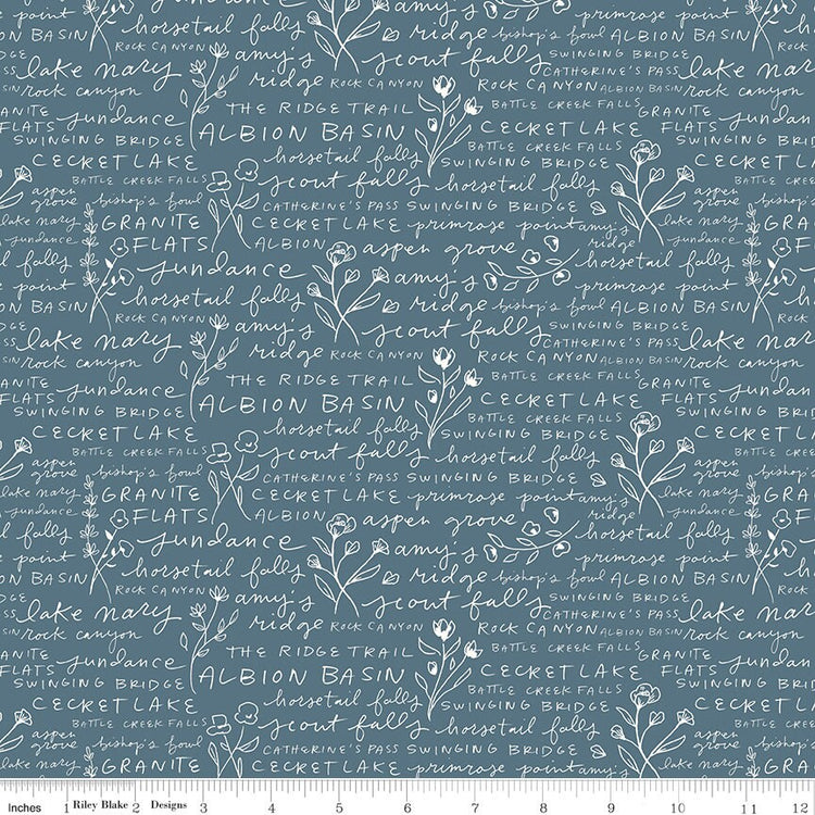 Albion Text Blue by Amy Smart for Riley Blake Designs - C14595-BLUE