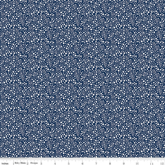 Copacetic Starflower Midnight by Julia Frazier for Riley Blake Designs - C14685-MIDNIGHT