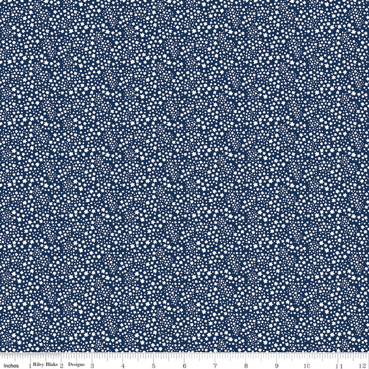 Copacetic Starflower Midnight by Julia Frazier for Riley Blake Designs - C14685-MIDNIGHT