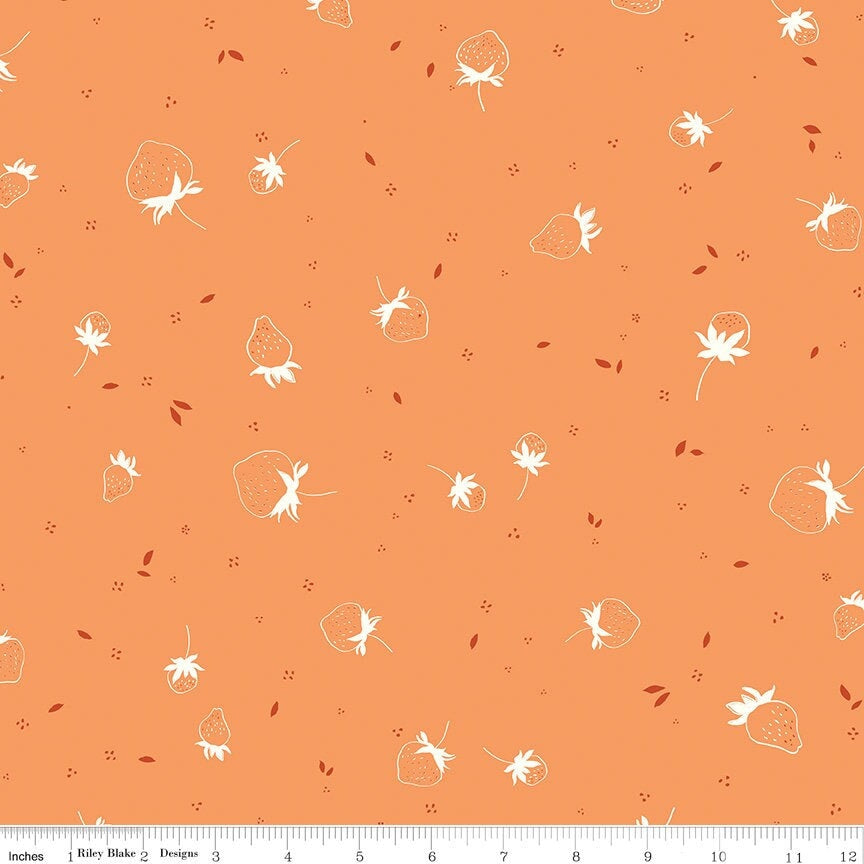 BloomBerry Berry Sprouts Tangerine by Minki Kim for Riley Blake Designs - C14603-TANGERINE