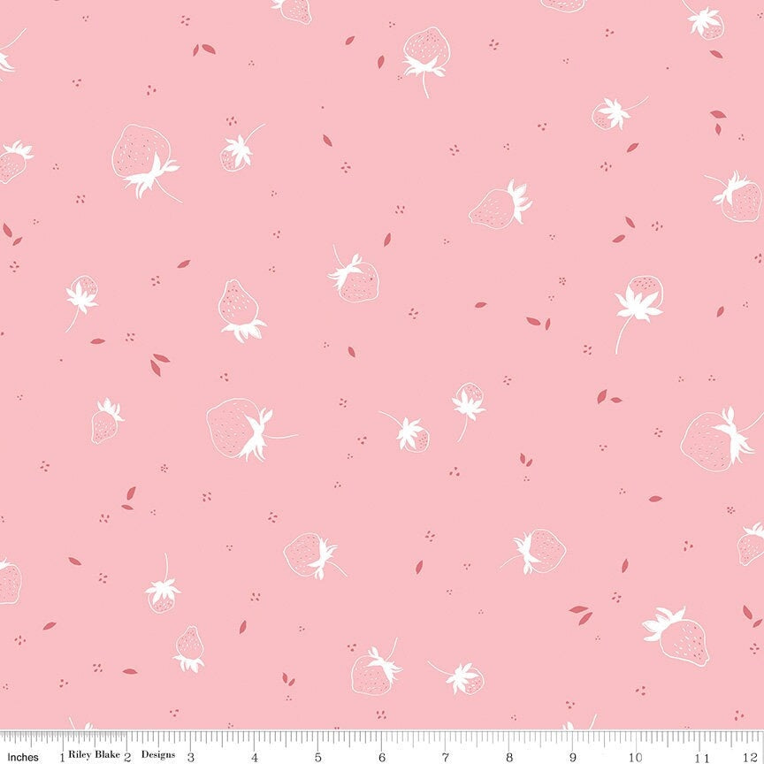 BloomBerry Berry Sprouts Pink by Minki Kim for Riley Blake Designs - C14603-PINK