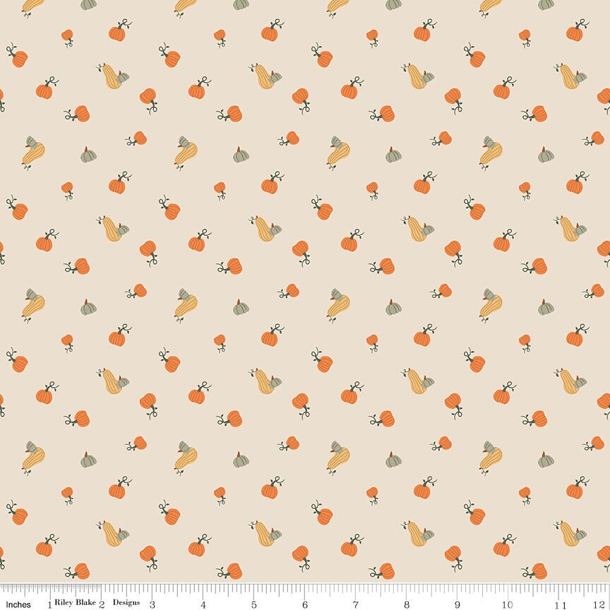 Pumpkin Spice Pumpkins Ivory by Simple Simon & Company for Riley Blake Designs -C14993-IVORY