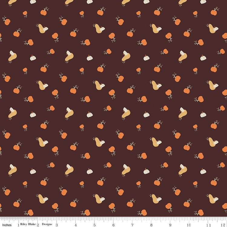 Pumpkin Spice Pumpkins Espresso by Simple Simon & Company for Riley Blake Designs -C14993-ESPRESSO