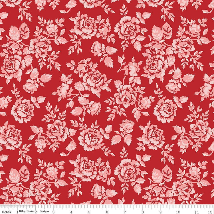 Home Town Parry Schoolhouse Red by Lori Holt for Riley Blake Designs - C13580-SCHRED