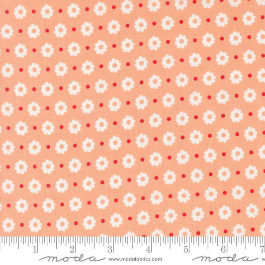 Laguna Sunrise Petal Florals Dot Cantaloupe by Sherri & Chelsi for Moda Fabrics - 37683 13