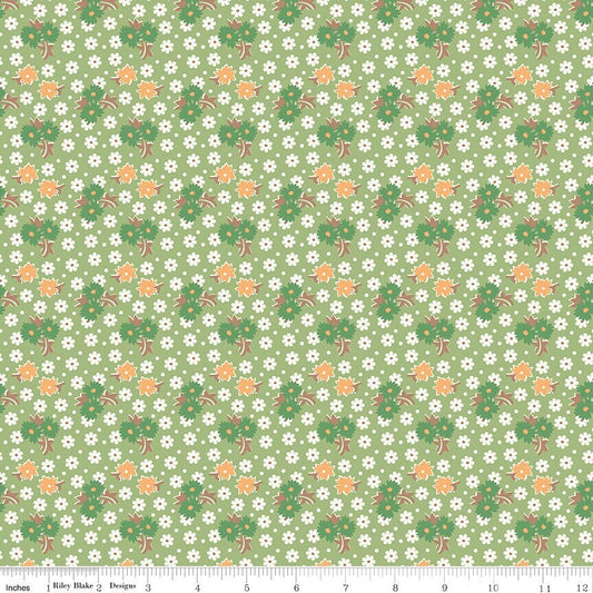 Home Town Sorenson Lettuce by Lori Holt for Riley Blake Designs - C13586-LETTUCE