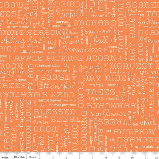 Autumn Words Pumpkin by Lori Holt for Riley Blake Designs - C14667-PUMPKIN