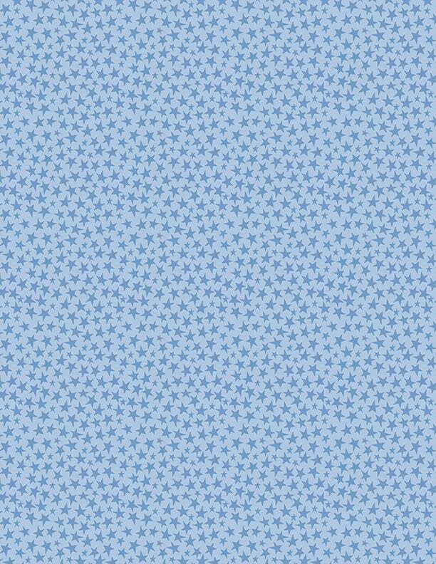 Safari Lullaby Stars All Over Blue by Deane Beesley Designs for Wilmington Prints - 3060 36269 444