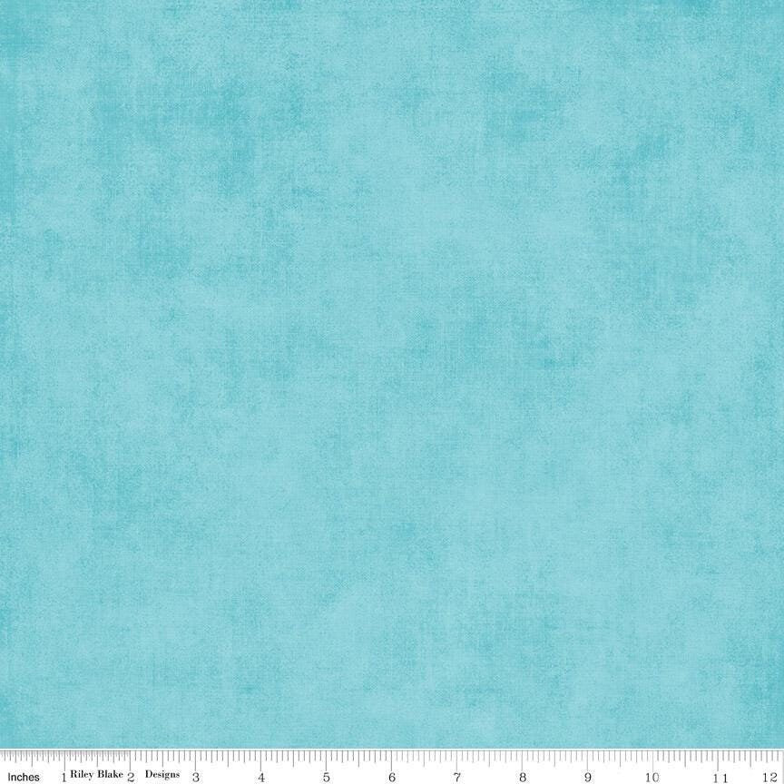 Shades Aqua by Riley Blake Designs - C200-AQUA