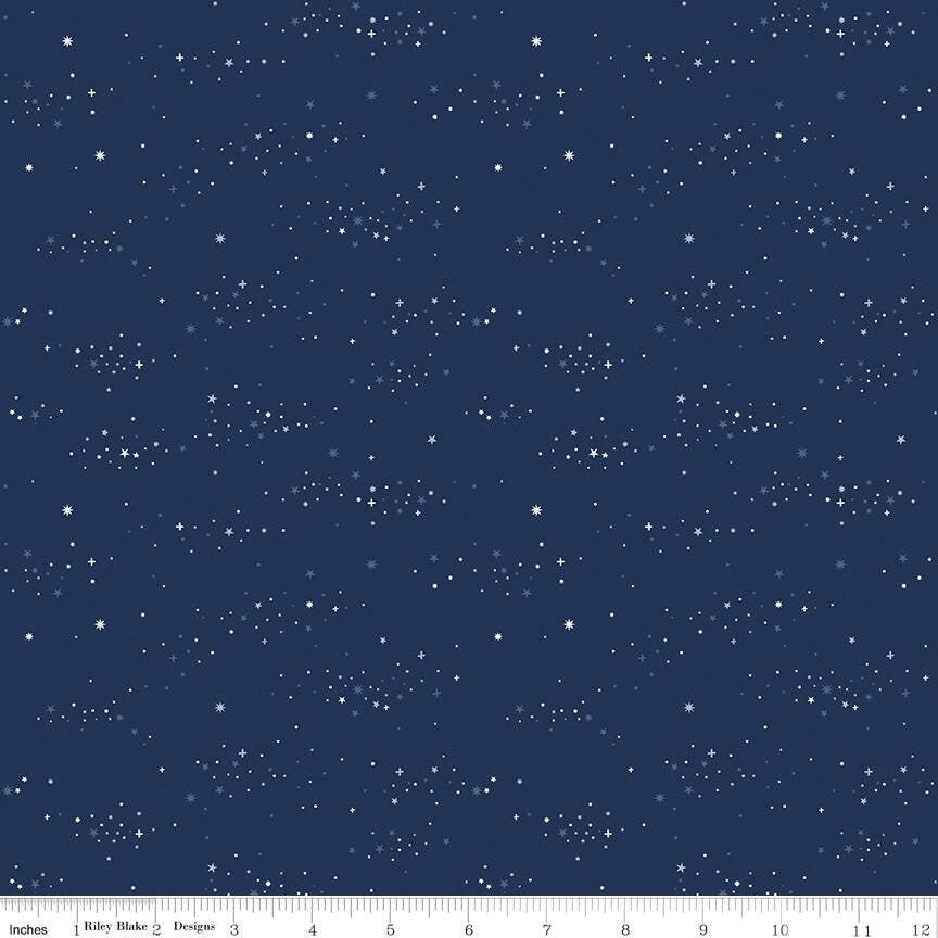 Between the Pages Starlight Navy by Fran Gulick for Riley Blake Designs - C15377-NAVY