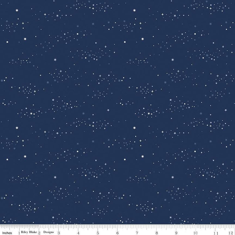 Between the Pages Starlight Navy by Fran Gulick for Riley Blake Designs - C15377-NAVY