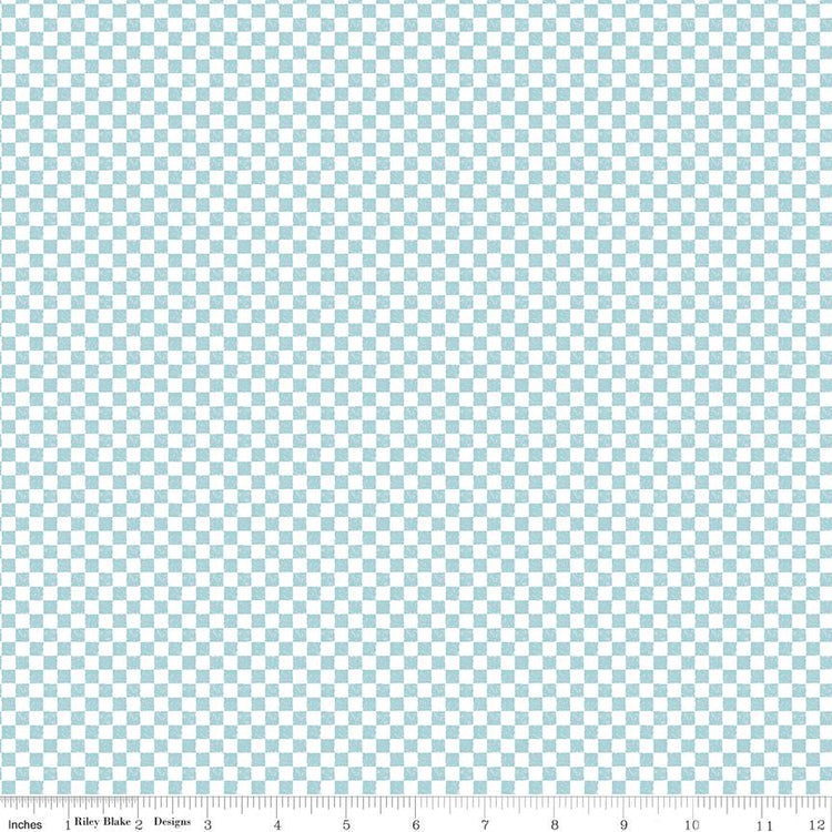 Check Please! 1/4" Check Aqua by The RBD Designers for Riley Blake Designs - C820-AQUA