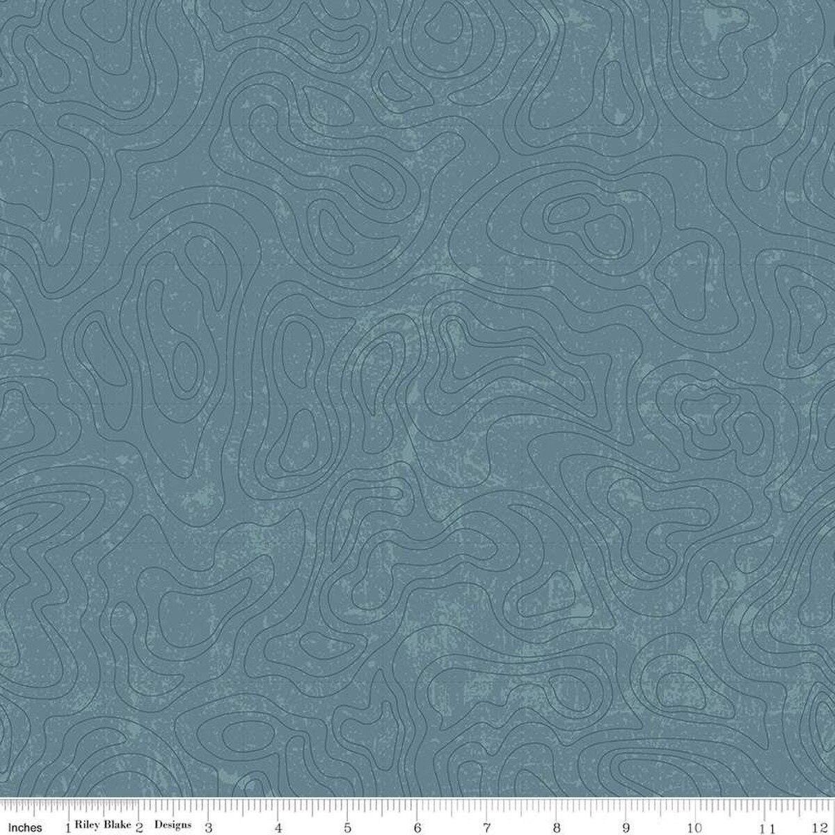 The National Parks Topographic Blue by Anderson Design Group for Riley Blake Designs - C13293-BLUE
