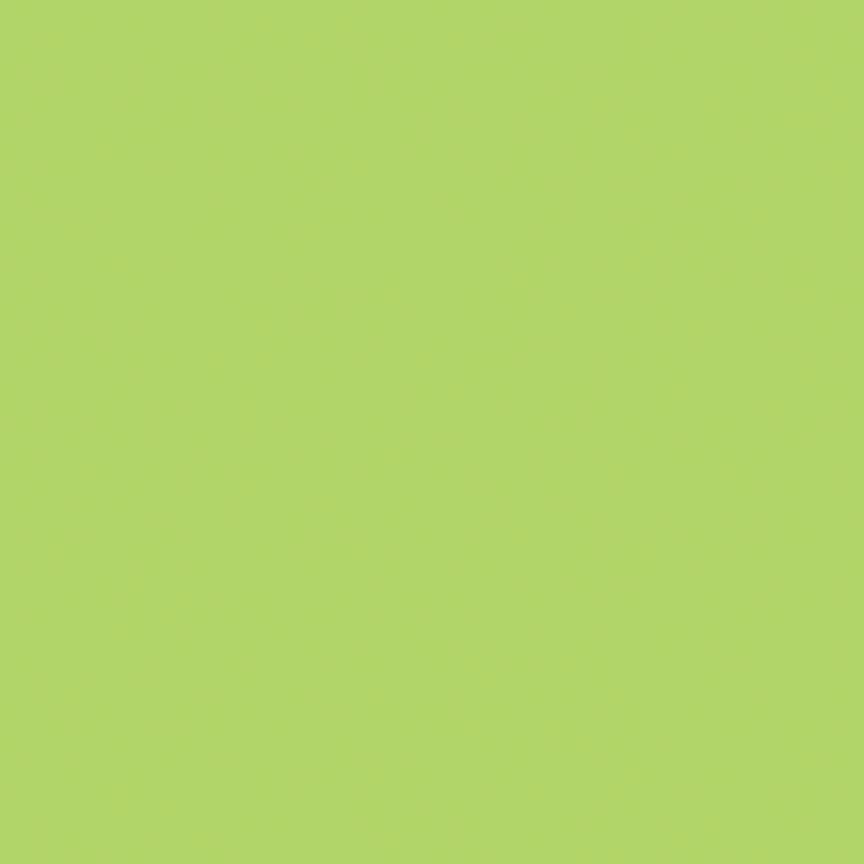Confetti Cottons Wasabi by Riley Blake Designs - C120-WASABI