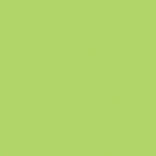 Confetti Cottons Wasabi by Riley Blake Designs - C120-WASABI