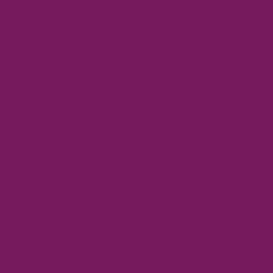 Confetti Cottons Boysenberry by Riley Blake Designs - C120-BOYSENBERRY