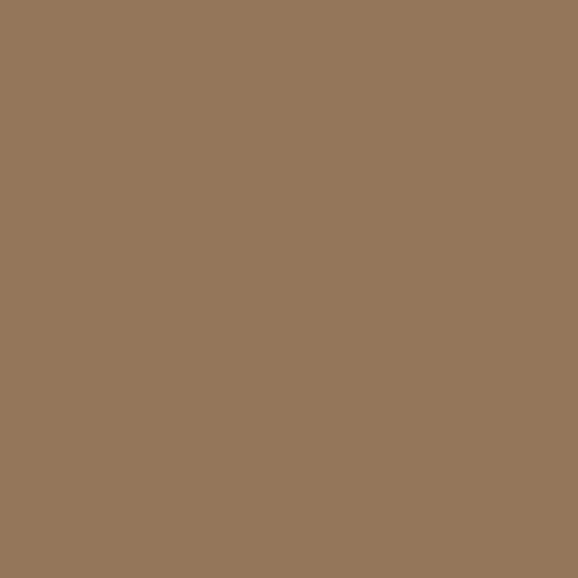 Confetti Cottons Chestnut by Riley Blake Designs - C120-CHESTNUT