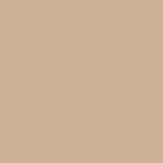 Confetti Cottons Cappuccino by Riley Blake Designs - C120-CAPPUCCINO