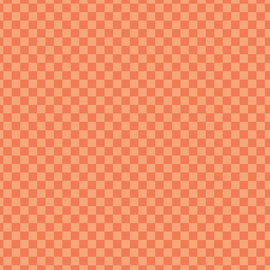 Hey Pumpkin Checks Orange by My Mind's Eye for Riley Blake Designs - C16036-ORANGE
