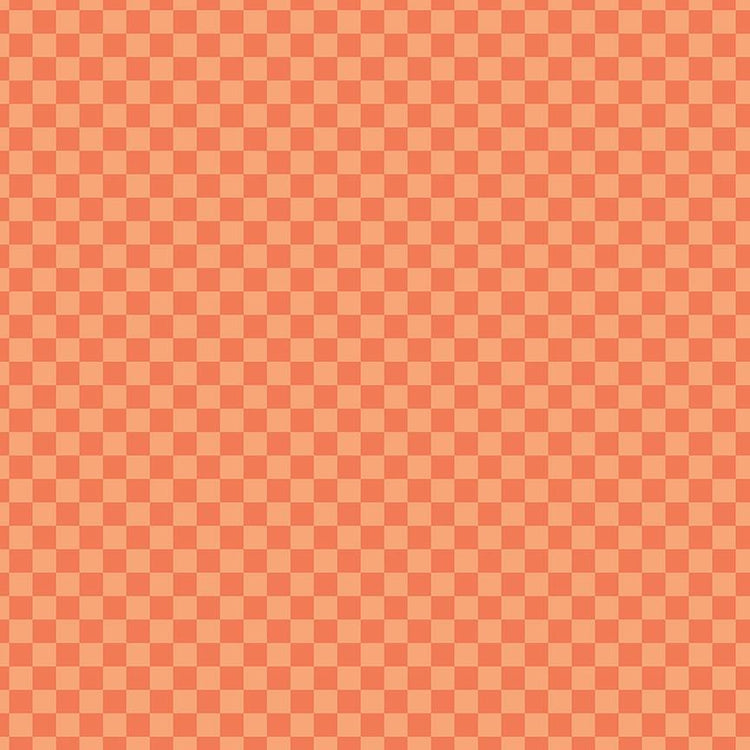 Hey Pumpkin Checks Orange by My Mind's Eye for Riley Blake Designs - C16036-ORANGE
